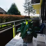 Kleine Robbe