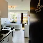Kleine Robbe