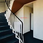 Kleine Robbe