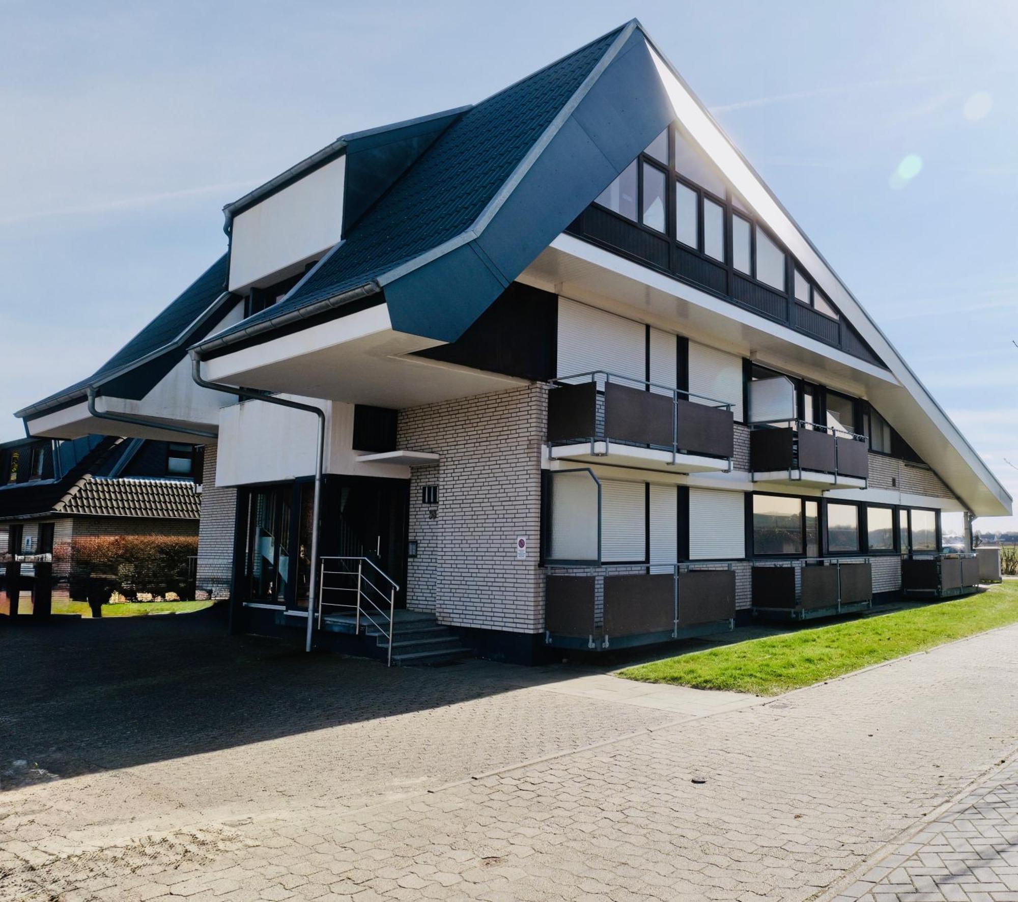 Kleine Robbe Cuxhaven