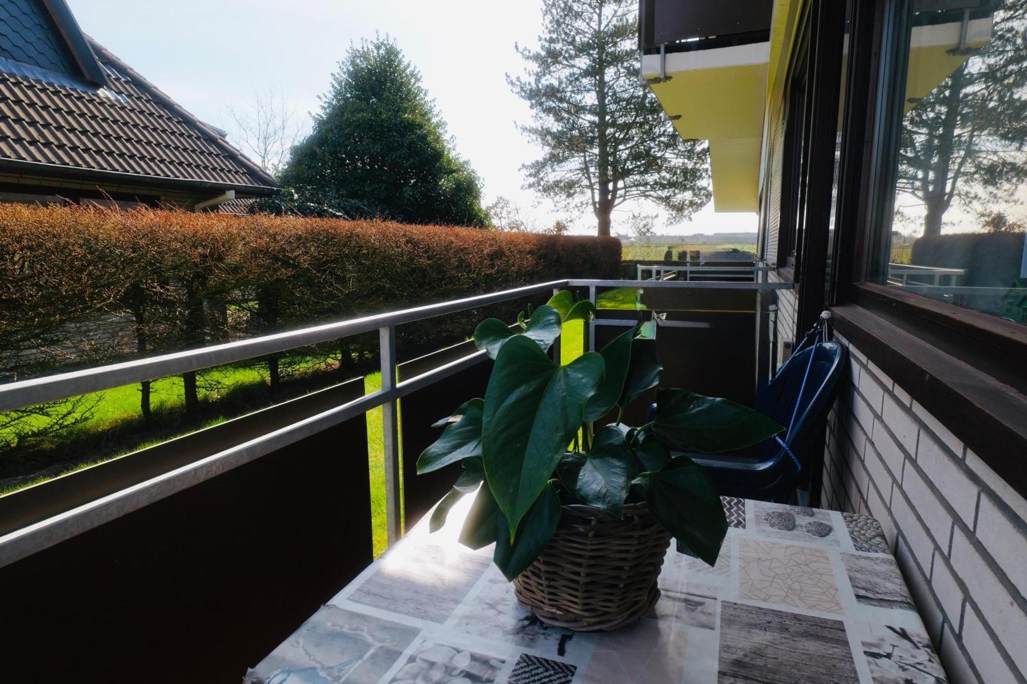 Kleine Robbe Apartment *